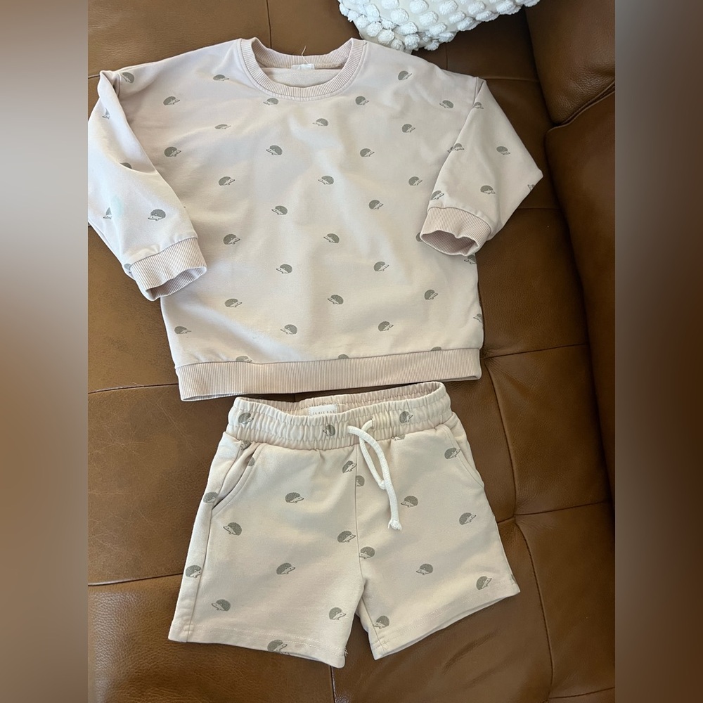 Jamie Kay Pale Pink Hedgehog Print Sweatshirt & Shorts Set